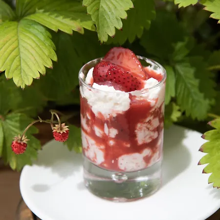 Bed & Breakfast Villa Inglese Picinisco